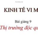 Kinh tế vi mô - Thị trường độc quyền