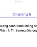 Bài giảng Kinh tế học - Chương 6: Thị trường độc quyền