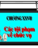 Bài giảng Các tội phạm về chức vụ