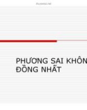 Bài giảng Kinh tế lượng - Chương 9: Phương sai không đồng nhất