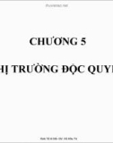 Bài giảng Kinh tế vi mô: Chương 5 - Hồ Hữu Trí