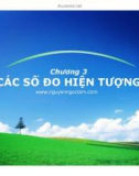 Bài giảng Nguyên lý thống kê: Chương 3 - Nguyễn Ngọc Lam (2017)