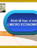 Học Kinh tế học vi mô