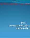 Bài giảng Pháp luật đại cương: Bài 6 - ĐH Lạc Hồng