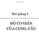 Bài giảng Kinh tế học vi mô dành cho chính sách công: Bài 4 - Độ co giãn của cung, cầu (2021)