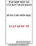 Tập hợp văn bản Luật quốc tế