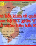 Bài giảng Liên kết kinh tế quốc tế và quan hệ kinh tế giữa Việt Nam với các tổ chức liên kết kinh tế quốc tế