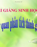 Bài giảng Sinh học 8 bài 51: Cơ quan phân tích thính giác