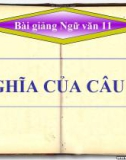 Bài giảng Ngữ văn 11 tuần 20: Nghĩa của câu (tiếp theo)