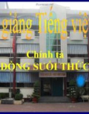 Slide bài Chính tả: Nghe, viết: Dòng suối thức - Tiếng việt 3 - GV.N.Tấn Tài