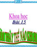 Bài giảng Khoa học 4 bài 15: Bạn cảm thấy thế nào khi bị bệnh