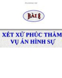 Bài giảng Luật Tố tụng Hình sự: Bài 8 - ThS. Võ Thị Kim Oanh