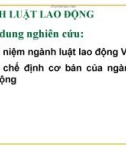 Bài giảng Ngành luật lao động