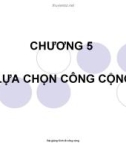 Bài giảng Kinh tế công cộng: Chương 5 - Ths. Phạm Xuân Hoà