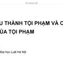 Bài giảng Luật Hình sự: Bài 3 - ThS. Lưu Hải Yến