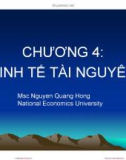 Bài giảng Kinh tế môi trường: Chương 4 - Nguyễn Quang Hồng