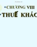 Bài giảng Chương VIII: Thuế khác