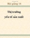 Bài giảng Kinh tế học vi mô dành cho chính sách công: Bài 14 - Thị trường yếu tố sản xuất (2021)