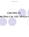 Bài giảng Kinh tế vi mô 1: Chương VI - GV. Ngô Thị Thủy