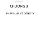 Bài giảng luật kinh tế - Chương 3