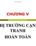 Bài giảng Kinh tế học vi mô - Chương 5: Thị trường cạnh tranh hoàn toàn