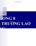 Bài giảng môn Kinh tế vi mô - Chương 8: Thị trường lao động