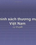 Bài giảng Chính sách thương mại Việt Nam (phần lý thuyết)