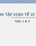 ÔN TẬP KINH TẾ VI MÔ