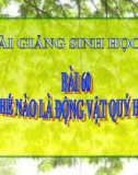 Bài giảng Sinh học 7 bài 60: Động vật quý hiếm