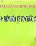 Bài giảng Sinh học 7 bài 54: Tiến hóa về tổ chức cơ thể