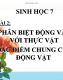 Bài giảng Sinh học 7 bài 2: Phân biệt động vật với thực vật. Đặc điểm chung của động vật