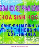 Giáo án điện tử sinh học: Sinh học 12-Nguyên Phân