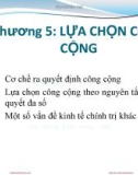 Bài giảng Kinh tế công cộng: Chương 5 - PGS.TS. Phí Mạnh Hồng