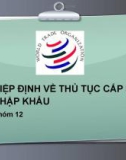 THUYẾT TRÌNH: HIỆP ĐỊNH VỀ THỦ TỤC CẤP PHÉP NHẬP KHẨU