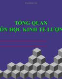 Môn học kinh tế lượng - Tổng quan kinh tế lượng