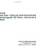 Báo cáo ý tưởng: Thiết kế cảnh quan - trồng cây xanh trong dải phân cách dọc trục đường Nguyễn Tất Thành – Khu du lịch Bắc bán đảo Cam Ranh