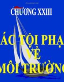 Bài giảng Các tội phạm về môi trường