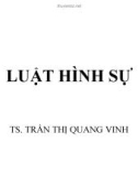 Bài giảng Luật hình sự - TS. Trần Thị Quang Vinh