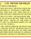 Bài giảng Luật Hình sự Việt Nam: Chương IV - ThS. Trần Đức Thìn