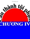 Bài giảng Luật Hình sự Việt Nam: Chương 4 - ThS. Trần Đức Thìn