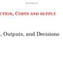 Lecture Managerial economics - Chapter 3: Production, costs and supply