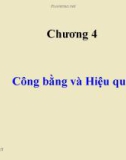 Bài giảng Kinh tế công cộng: Chương 4 - Cân bằng và hiệu quả