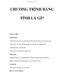 CHƯƠNG TRÌNH BẢNG TÍNH LÀ GÌ?