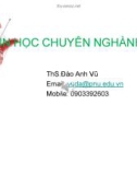 Bài giảng Tin học chuyên ngành: Làm việc với hiệu ứng hoạt cảnh - ThS. Đào Anh Vũ