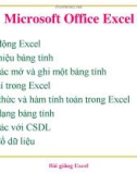 Bài giảng Microsoft Office Excel