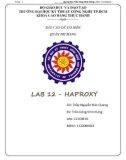 BÁO CÁO ĐỀ TÀI MÔN QUẢN TRỊ MẠNG : LAB 12 - HAPROXY