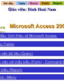 Bài giảng Microsoft Access 2003 - Đinh Hoài Nam