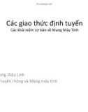 Bài giảng Các giao thức định tuyến: Các khái niệm cơ bản về mạng máy tính