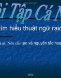 Đề Tài: tìm hiểu thuật ngữ raid: TT01