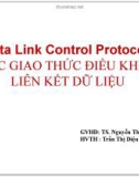 Bài giảng Các giao thức điều khiển liên kết dữ liệu